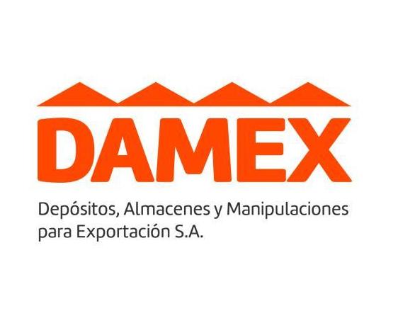 logo damex